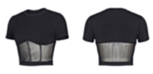 Baddie Mesh Crop Top