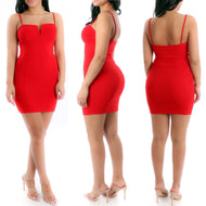 Bawdy Mini Dress